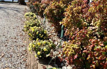 Sai Rakshit Villa on Maurice River - Foto 37