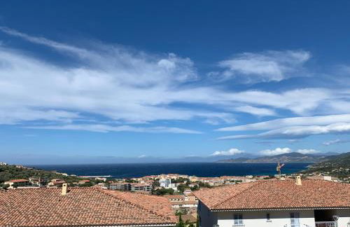 T2 clim 54m2, 17m2 de terrasse très belle vue mer - Foto 2