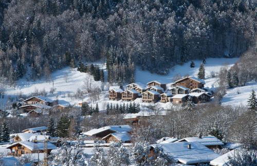 Les Portes de Megève - Foto 4