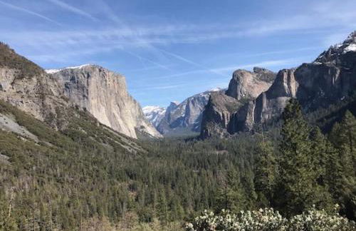 Breckenridge Chalet near Yosemite. Dog friendly! - Foto 28