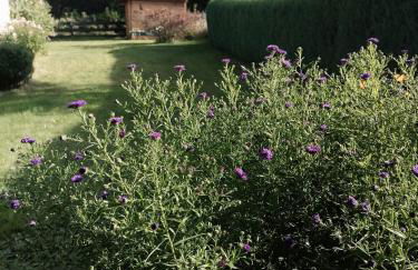 Augl Bischofsgrün - Foto 32