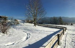 Ferienwohnung Christensen - Foto 19