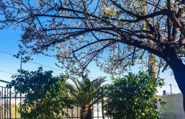 West Garden At Aigio By Greece Apartments - Photo 14