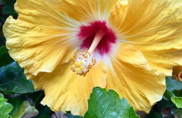 Finca La Punta - Foto 8