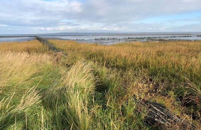 Holiday Home Lenz - Foto 23