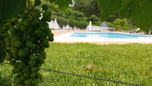 Quinta Manhas Douro - Foto 2