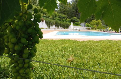 Quinta Manhas Douro - Foto 2