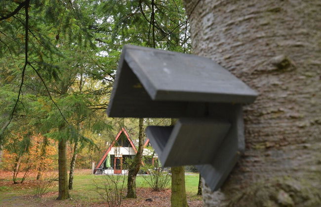 Holiday Home in Stramproy Near Nature - Foto 32