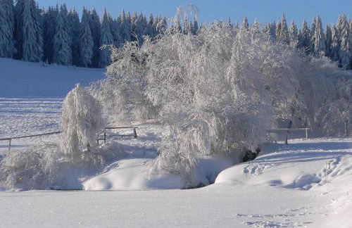 Apartment Wiesengrund by Interhome - Foto 22