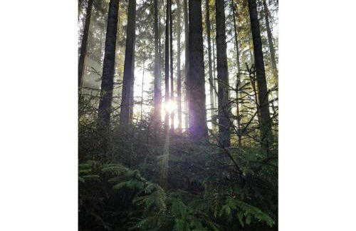 Frankenwaldhaus Comfortable Holiday Residence - Foto 29