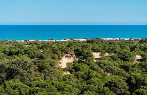 Pinada Paradise - Foto 26