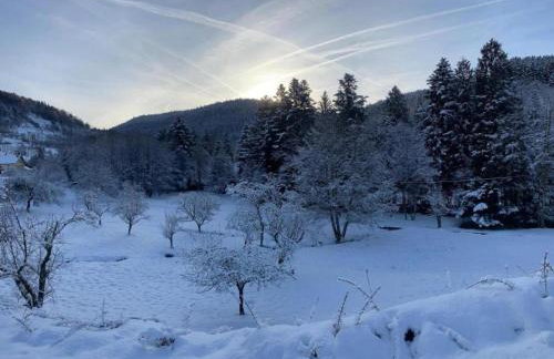 Chalet in La Bresse near Ski Slopes - Foto 40