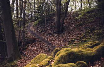 Idyllisches Häuschen im Grünen - Foto 58