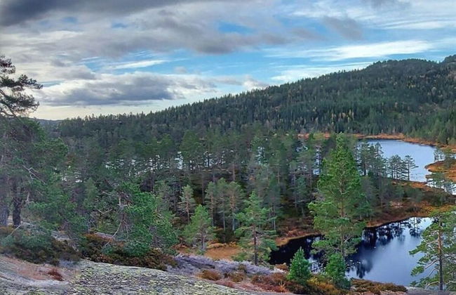 Holiday Home Lykkehjem in Amli - Foto 19