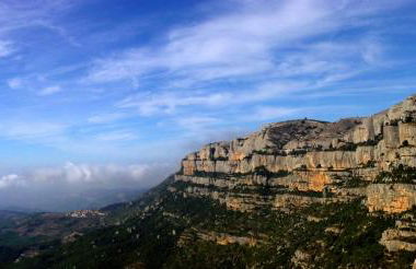 Mas Perdiueta - Foto 45