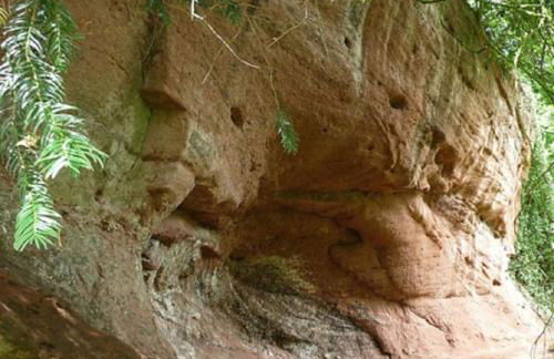 Beckbury Guesthouse - Foto 32