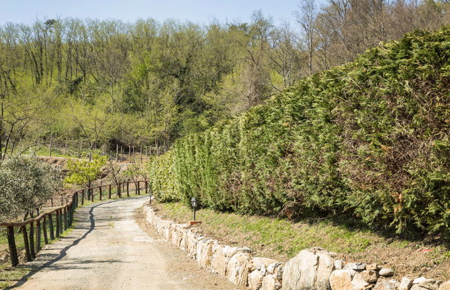 Cantiniere - Foto 28