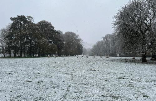 Hog Plum 2 Bed,Ground Floor, Centre Child Okeford - Photo 34