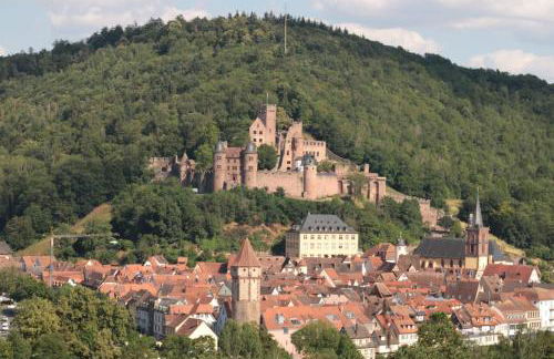 Apartmenthaus Wertheim - Foto 74