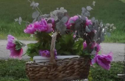 Agriturismo Boschi - Foto 32