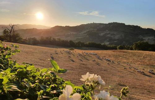 Agriturismo Paugnano - Foto 14