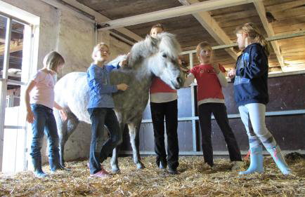 Hof Osterbunsbüll - Foto 13