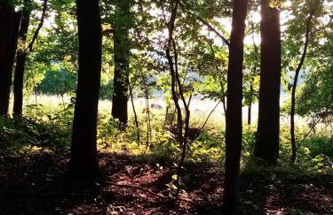 Owczarnia Agroturystyka Ekologiczne Gospodarstwo Owczarskie - Foto 53