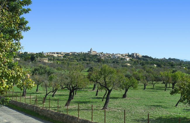 Villa Alqueria Alt - Foto 24