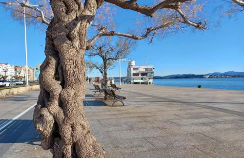 Apartamentos Olga Cantabria - Foto 48