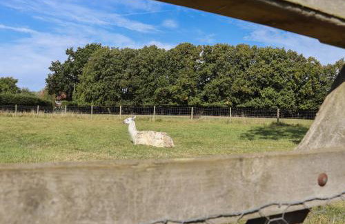 The Old Stables - Foto 26