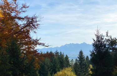 Apartament w górach Gorce - Foto 28