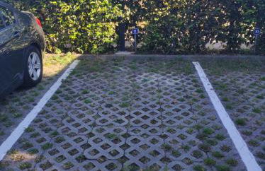 FeWo - SEEbrise am Zwenkauer See - Foto 31