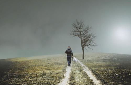 Nengshof Ferienwohnung Wildrose - Foto 23