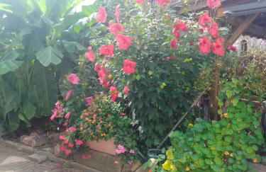 Gästehaus Brunhilde - Foto 4