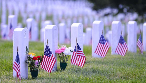 Visite privée dans Washington DC - Photo 4, Cimetière national d'Arlington