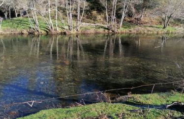 Casa do Adro-Passadiços do Paiva Arouca - Foto 41