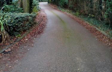 The Annex - Guest Gardens - Photo 6