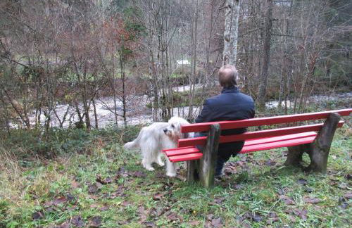 Ferienwohnung Schönmünzblick - Photo 60