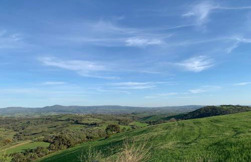 Fattoria Tolomei - Foto 20