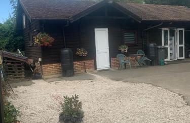 The Little Red lion - Foto 14