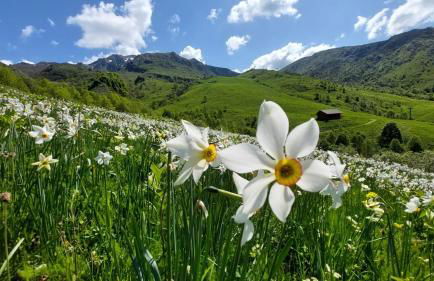 CASA VACANZA NIDO COLLETTO - Foto 29