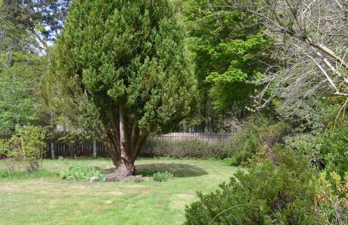 Eagles Gate Lodge - Photo 26