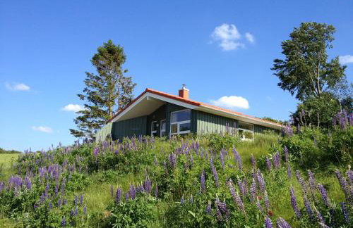 Skipper-Lodge Ost - Foto 3