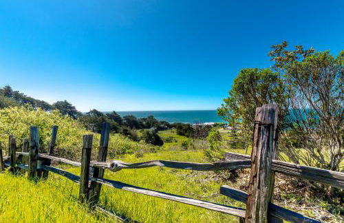 Wild Meadow - Foto 17