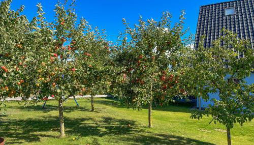 Holiday Home Blu Hus - Foto 3, Garden