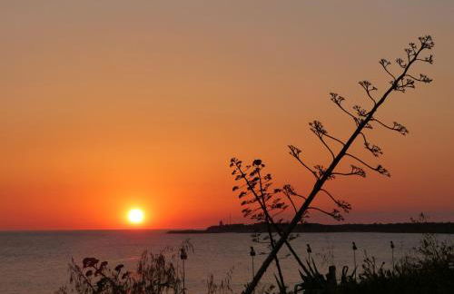 Apartamentos El Arrecife - Foto 36