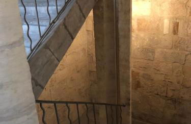 Le musée Fabre, appart de charme , parking gratuit - Foto 12