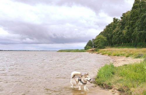 Ostseewellen II Haushälfte - Foto 21