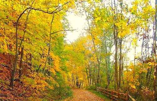 Riverfront Cabin Rental with a Private Beach on Youghiogheny River near Pittsburgh, Pennsylvania - Foto 22