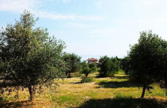Agr. La Casa Della Lavanda - Il Rustico - Photo 11